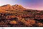 5 Day Flinders Ranges & Outback Inc Arkaroola (4nts Superior Motel Unit - Solo Traveller)