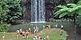 Millaa Millaa Falls