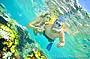 2 Day Reef & Rainforest Package