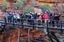 Tour group on a bridge at Kings Canyou